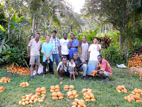 Farmers with Cacao pods - Fijiana Cacao plantation